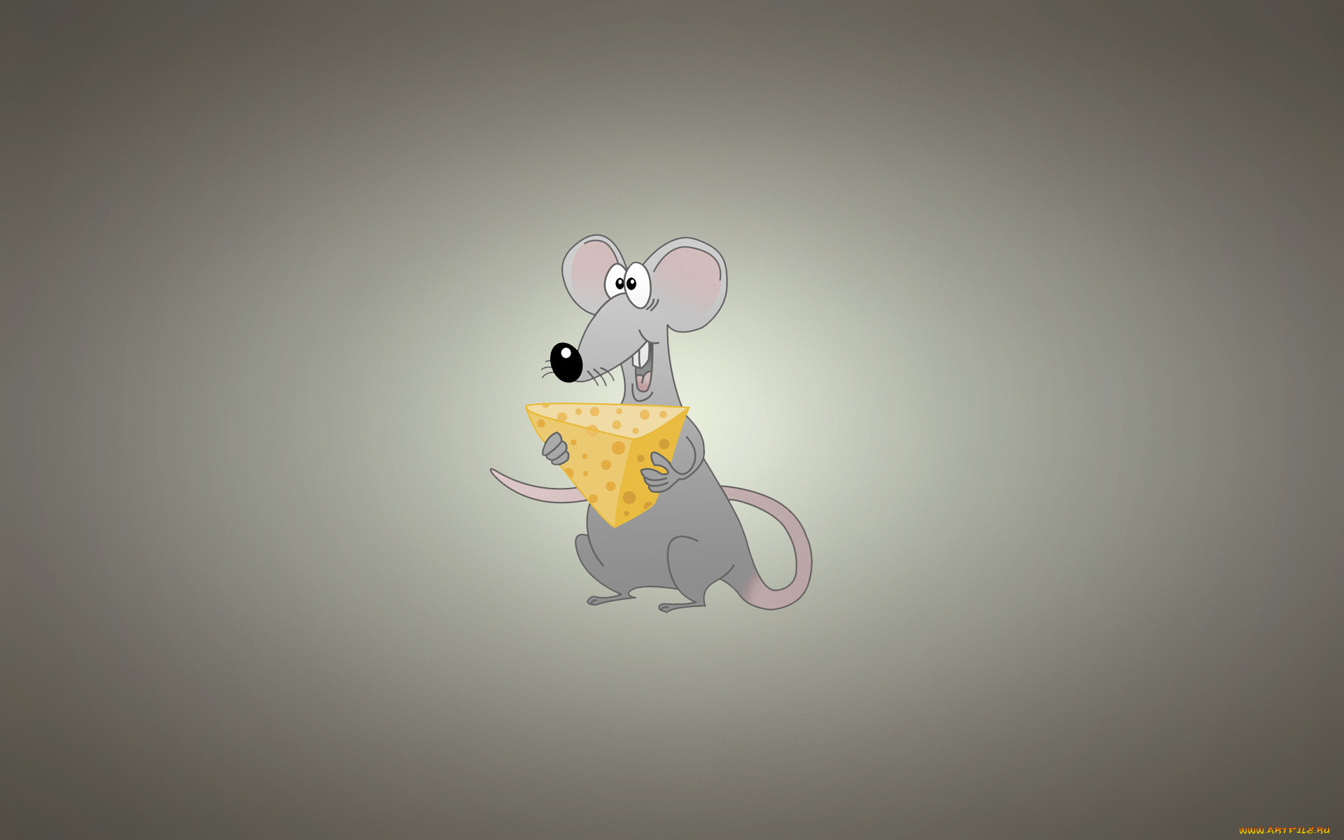 , , , , , mouse, , rat, 